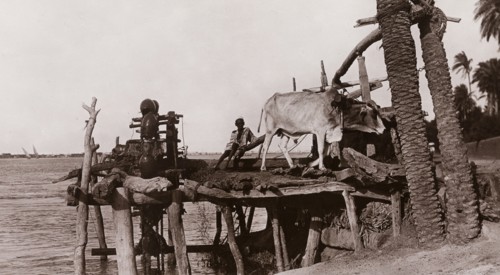 Sakia (Water Wheel)