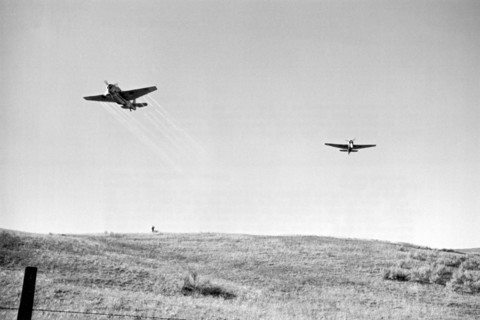 Spraying Malathion