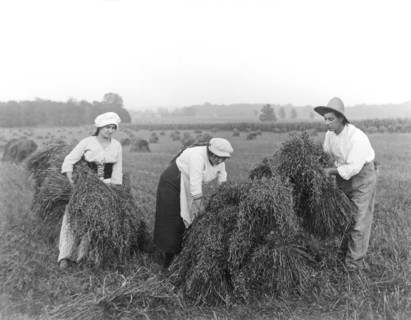 Harvest Time