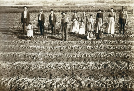Family Harvest