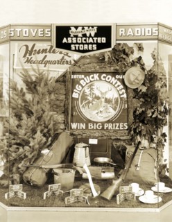 Deer Hunting Display