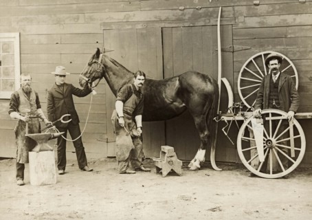 Farrier Shoeing A Horse