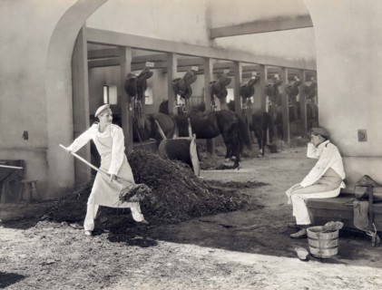 Shoveling Horse Manure