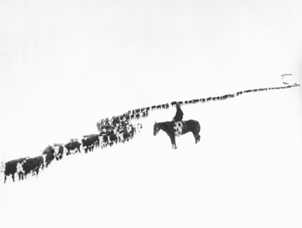 The Long Long Line
