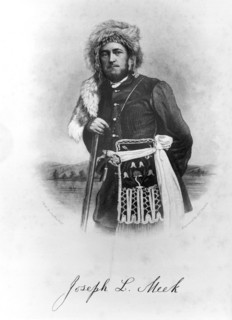 Portrait Of Joseph L. Meek