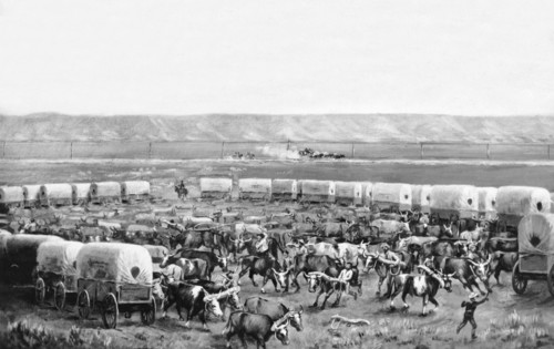 Covered Wagon Corral