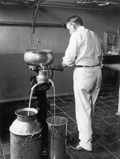 Farmer Using A Cream Separator