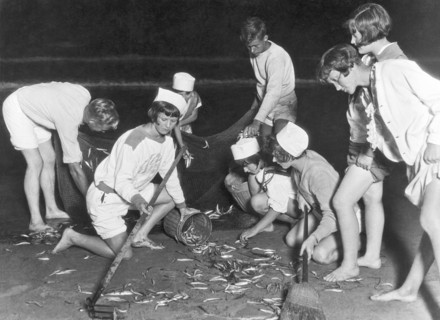 Newport Harbor Grunion Season