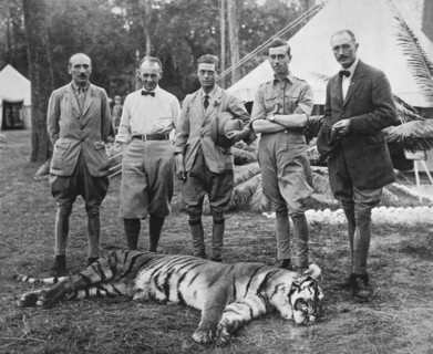 Prince Of Wales Kills Tiger