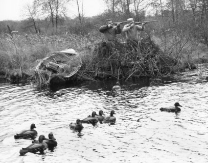 Duck Hunters With Decoys