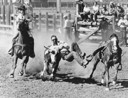Rodeo Cowboy Bulldogging