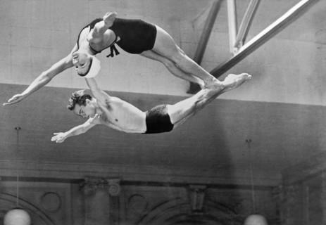 Springboard Diving Champions