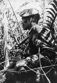 Navy SEAL In Mekong Delta