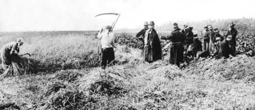 Belgian Soldiers And Farmers