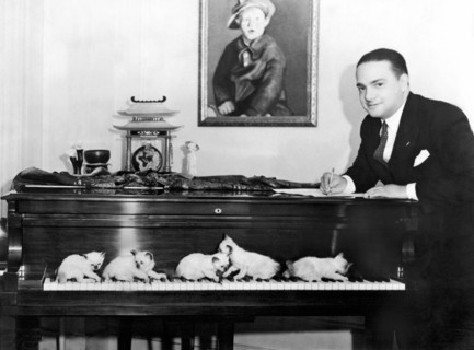 Cats Composing