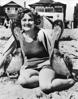 A Woman And Her Pet Pelicans