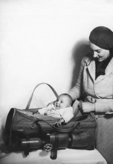 Happy Baby In Travel Bag