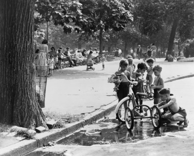 Children Playing In Park