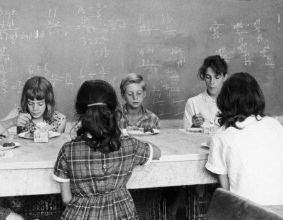 USDA's School Lunch Program.