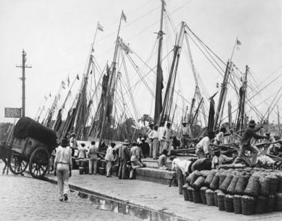 Brazilian Dock Scene