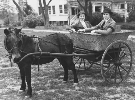 Two Women In A Pony Cart