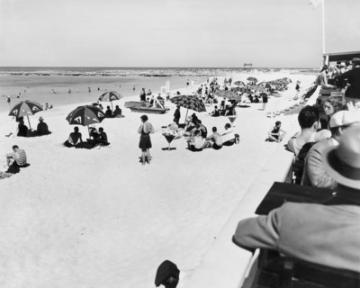 Bahama Beach Scene