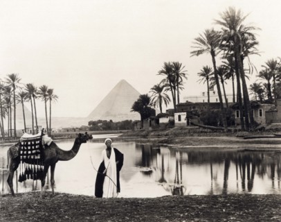 Pyramids Of Giza Oasis