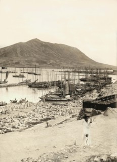 The Harbor In Fusan, Korea