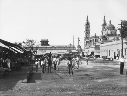 Matzatlan Market