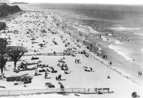 Winter Scene At Miami Beach