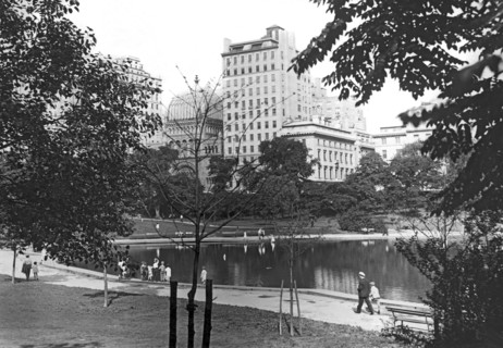 Central Park in New York City