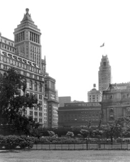 The View From Battery Park
