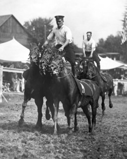 Mounted Police Stunts