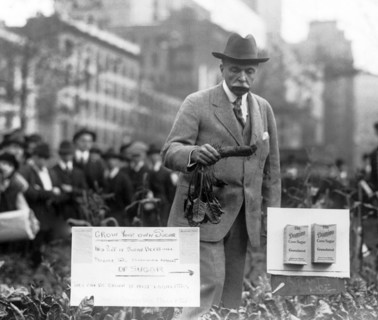 Growing Sugar In New York City