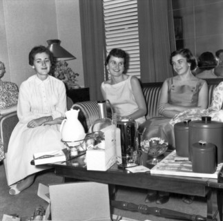 Women At A Housewares Party