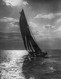 Thebaud Setting Out To Sea