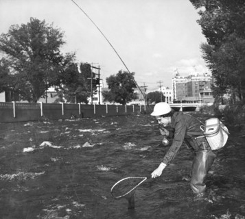 Fishing In The City