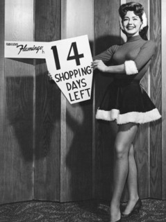 14 Shopping Days Til Christmas