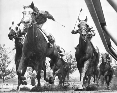 Horse Racing At Aqueduct Track