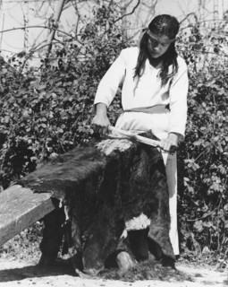 Scraping A Bear Hide