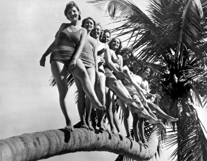 Dancers Practice On Palm Tree