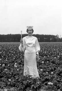 The Potato Blossom Queen