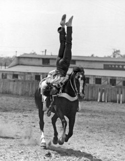 A Head Stand On Horseback
