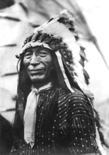 Buffalo Nickel Portrait
