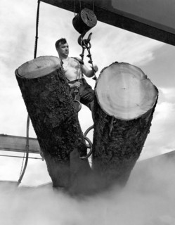 Lumber Mill Worker