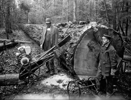 Lumberjack With Early Chainsaw