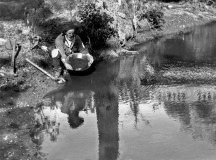 Miner Panning For Gold