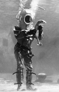 A Diver Holds A Baby Porpoise