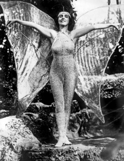 A Coral Gables Butterfly Woman