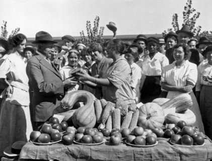California Harvest Festival